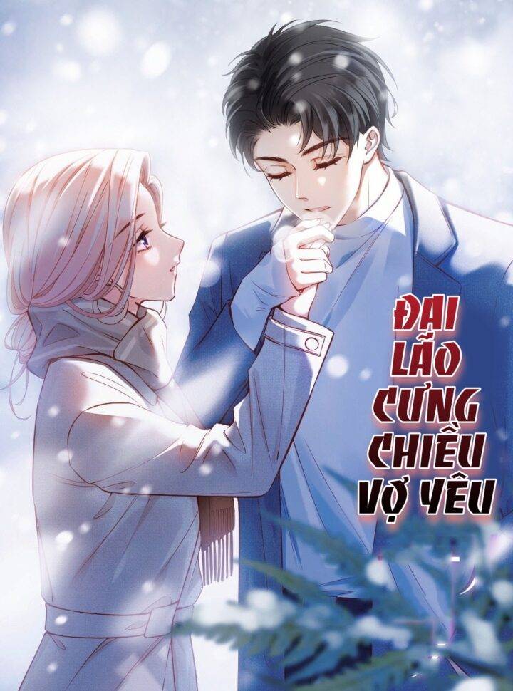 Truyện tranh ĐẠI LÃO CƯNG CHIỀU VỢ YÊU